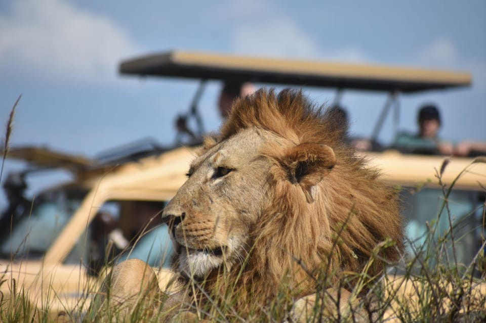 6 Days Serengeti & Ngorongoro Luxury Safari